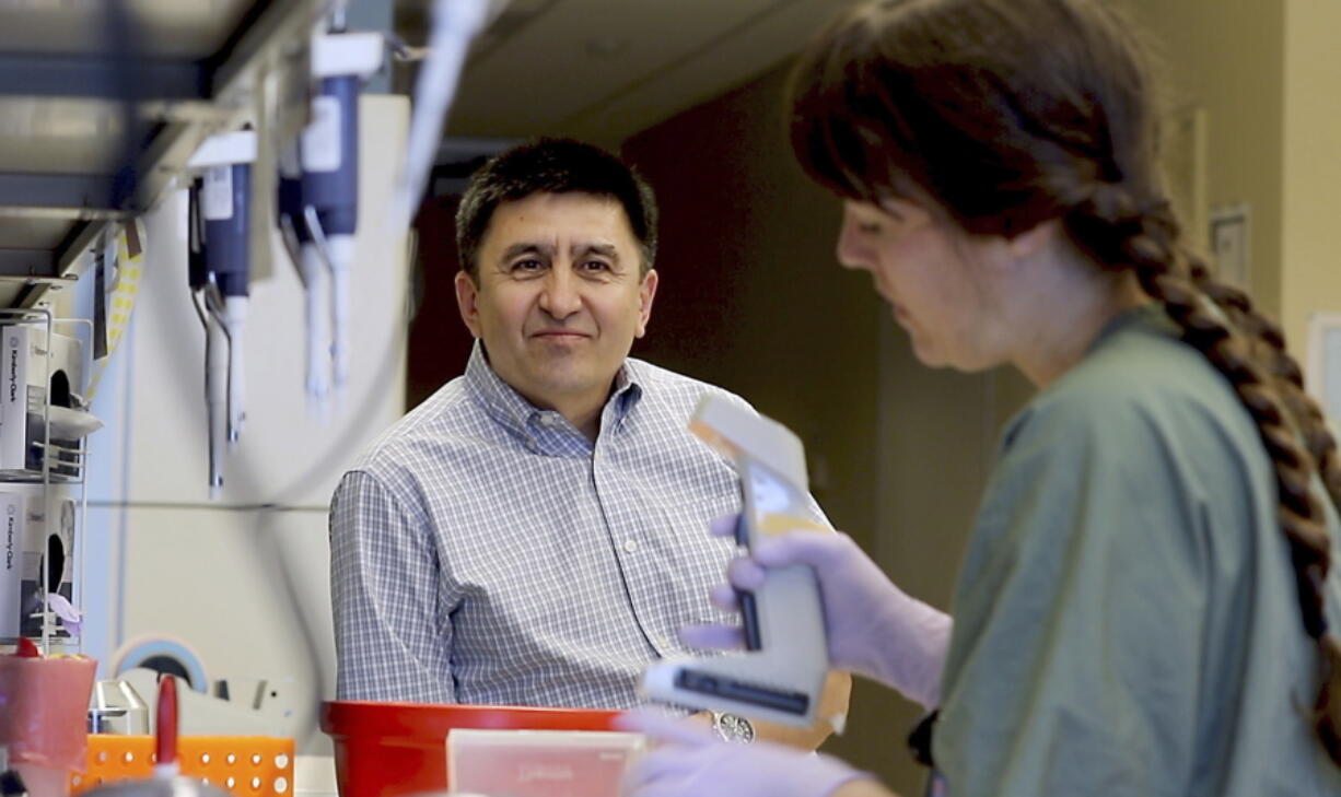 Shoukhrat Mitalipov, left, talks July 31 with research assistant Hayley Darby in the Mitalipov Lab at OHSU in Portland. Mitalipov led a research team that, for the first time, used gene editing to repair a disease-causing mutation in human embryos, laboratory experiments that might one day help prevent inherited diseases from being passed to future generations.