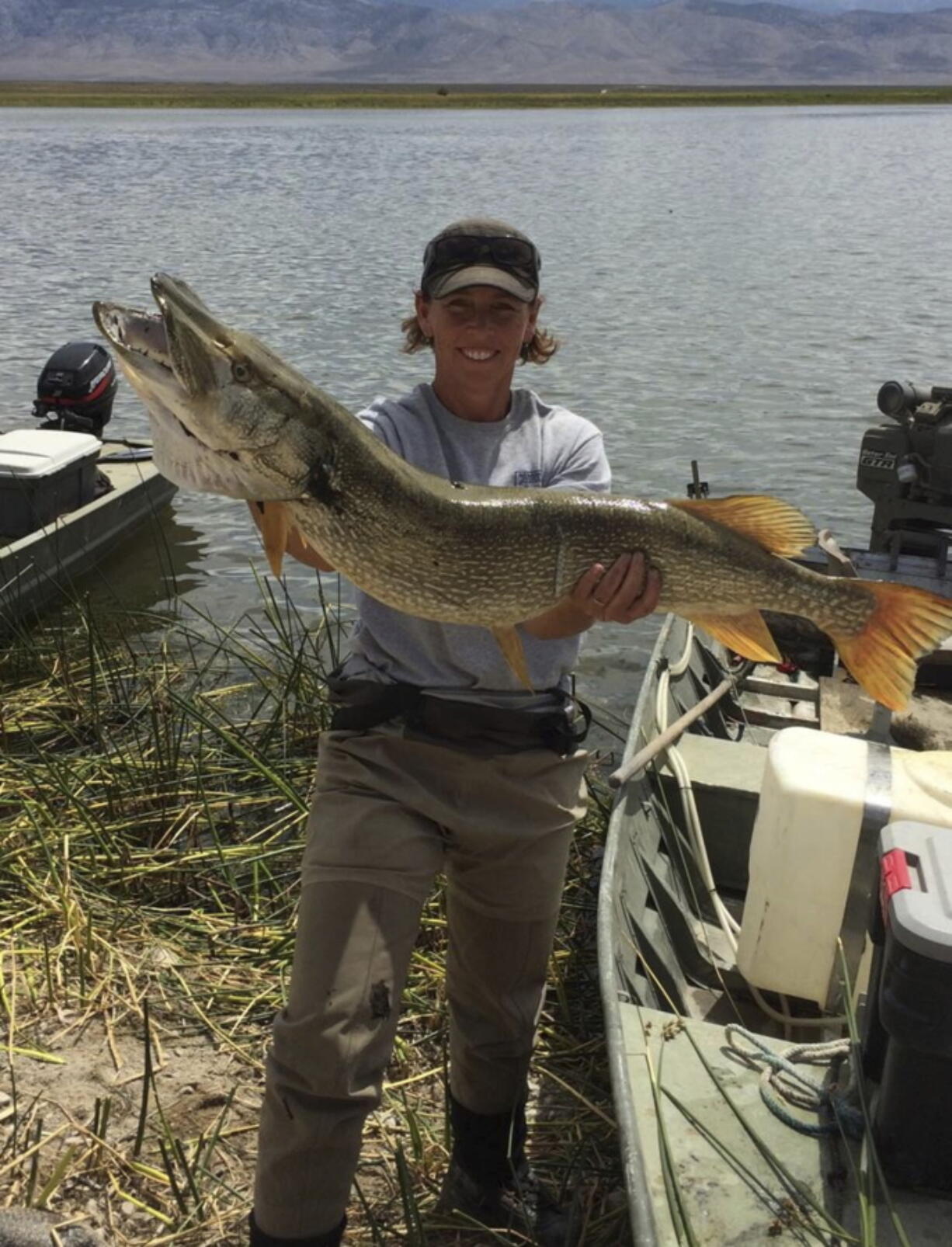 State fisheries biologist Kim Tisdale holds one of the Northern pike removed in 2015 from Comins Lake in eastern Nevada.