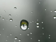 Light is refracted through raindrops on the windshield to reveal the bandstand along Old Soldiers Road in August 2008.