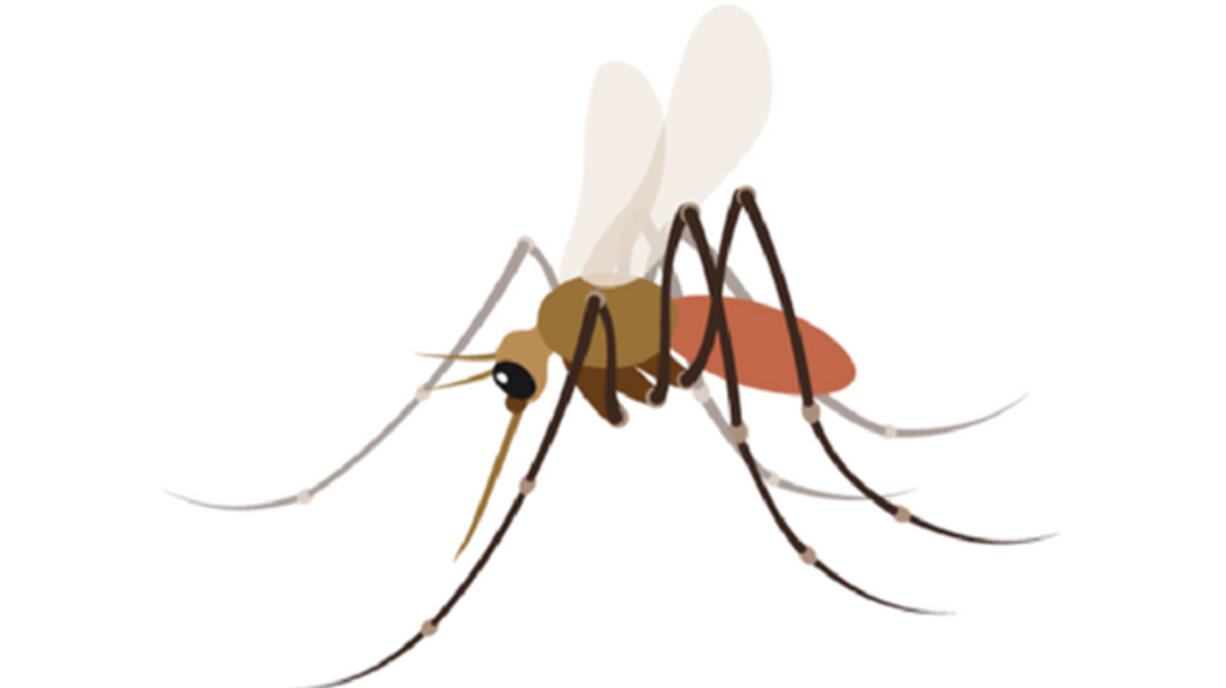 A pair of public health workers are seeking to add a mosquito emoji.