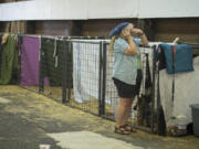 Joy Marley, who lives in west Skamania County, is joined by her German shepherds as she takes a call at the fairgrounds in Stevenson on Tuesday morning. Marley said she was evacuated at 2 a.m. and fled with her dogs to the site. “They are my family,” she said.