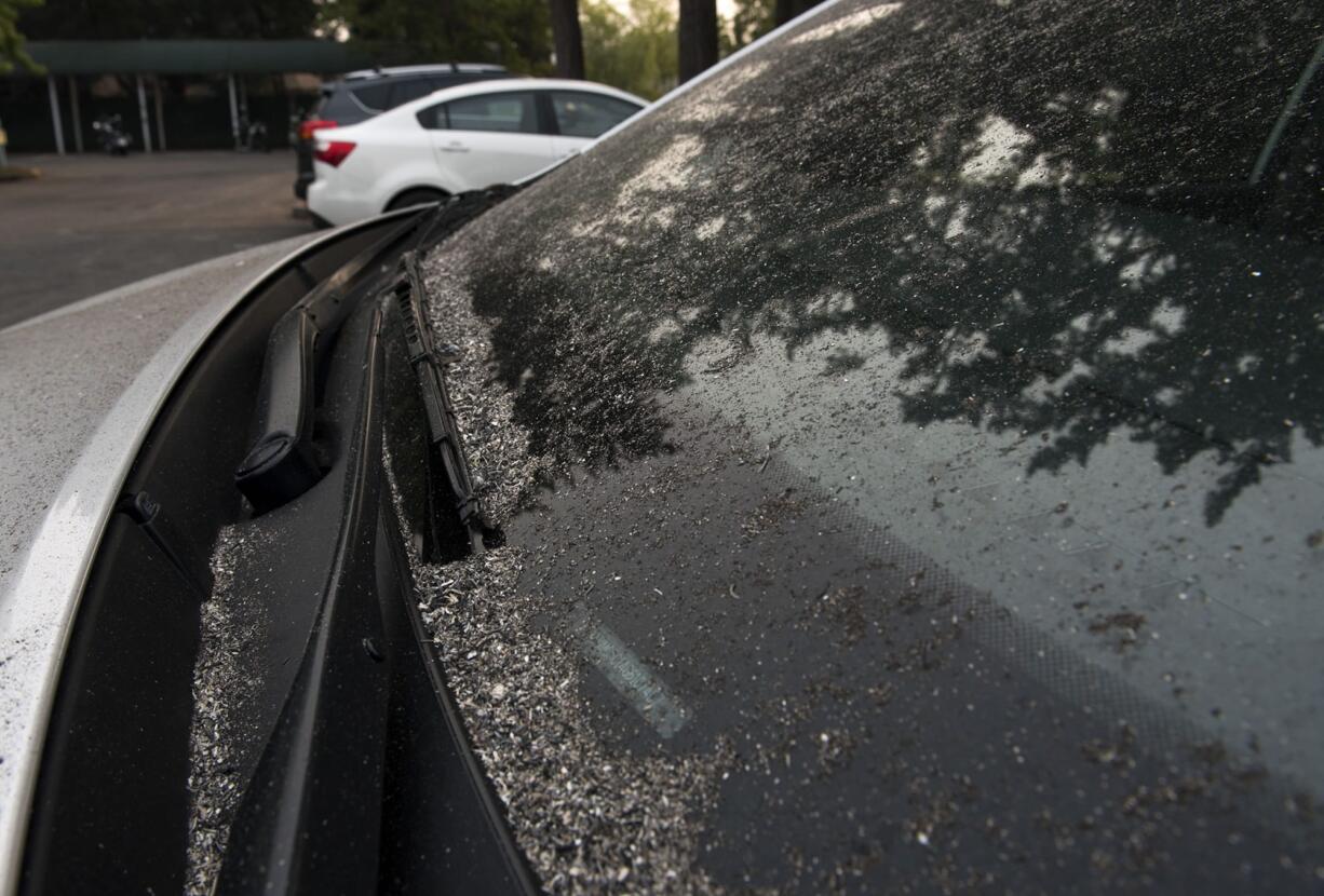 Ash piles up on car windshield in the parking lot of PeaceHealth Southwest Medical Center in Vancouver on Tuesday morning.