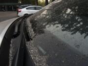 Ash piles up on car windshield in the parking lot of PeaceHealth Southwest Medical Center in Vancouver on Tuesday morning.