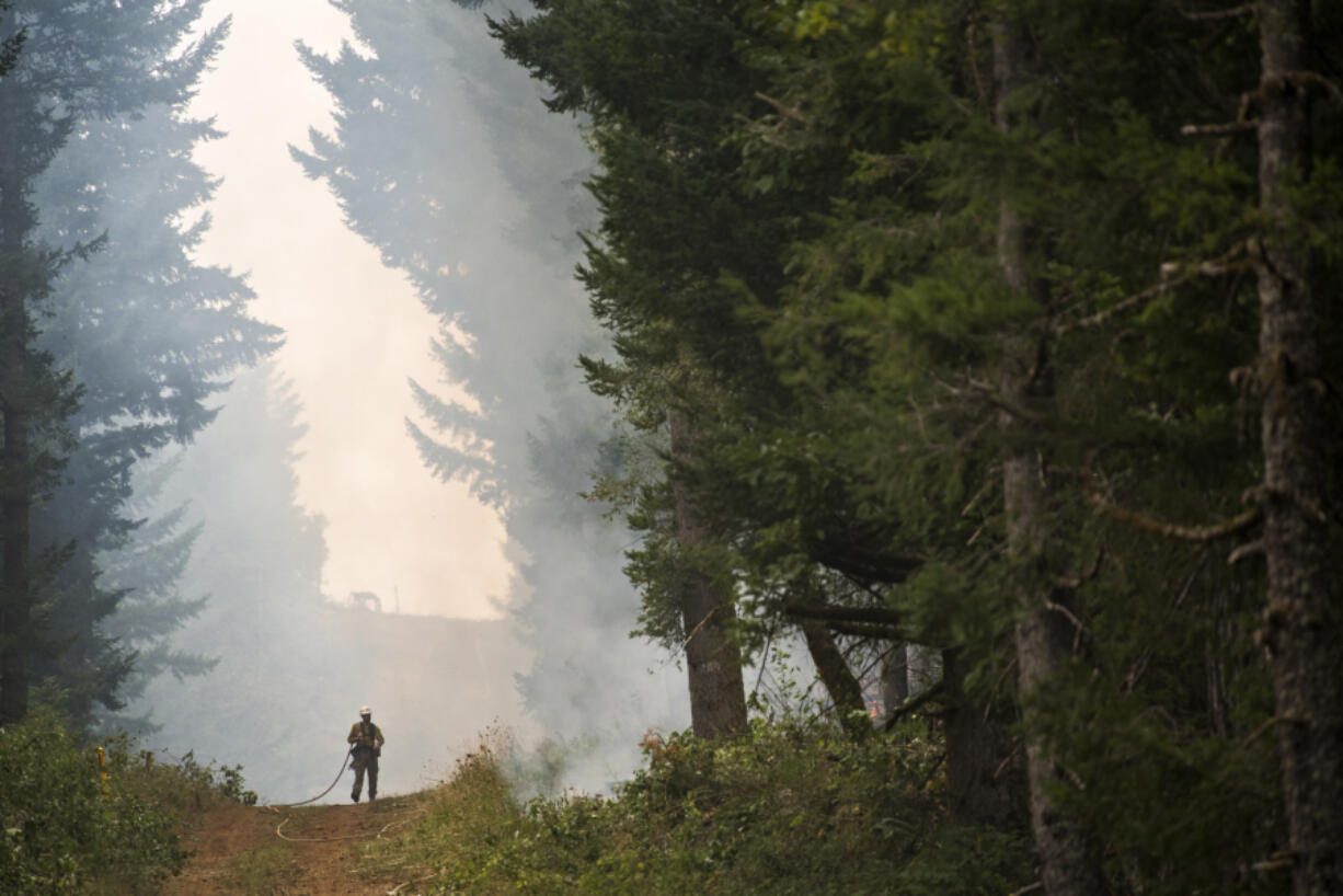 Washington Department of Natural Resources firefighter Chris Werner of Chehalis works the south fireline of the Archer Mountain Fire on Wednesday.