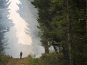 Washington Department of Natural Resources firefighter Chris Werner of Chehalis works the south fireline of the Archer Mountain Fire on Wednesday.