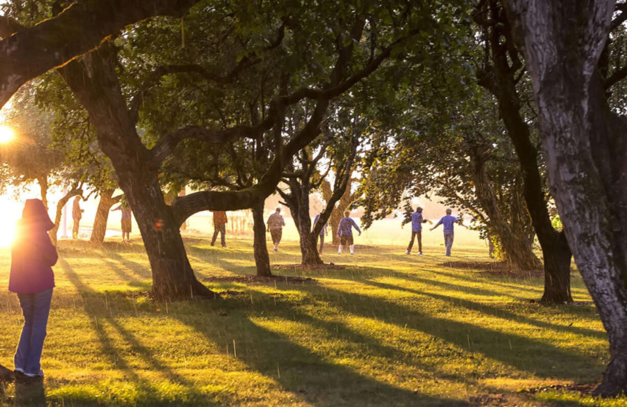 The Guild-Klady Centennial Farm in Woodland glows at sunset in the replanted orchard as members of Boy Scout Troop 531 take a stroll.