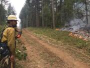 DNR firefighter Chris Werner keeps an eye on the south line of the fire near Archer Mountain.