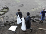 Volunteers, including members of Boy Scout Pack 424, took advantage of Lacamas Lake’s lowered water level to pull trash out of the lake bed Saturday.