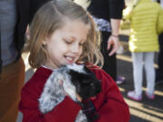 Valkyrie Knutson, 6, holds her family guinea pig, Chummly, during an animal blessing Wednesday at St. Joseph Catholic School in Vancouver.