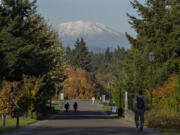 Students and visitors to Washington State University Vancouver take in scenic views of Mount St. Helens and fall colors as the sun shines on Tuesday afternoon. The school is among those in the Washington State University system facing impending budget cuts.