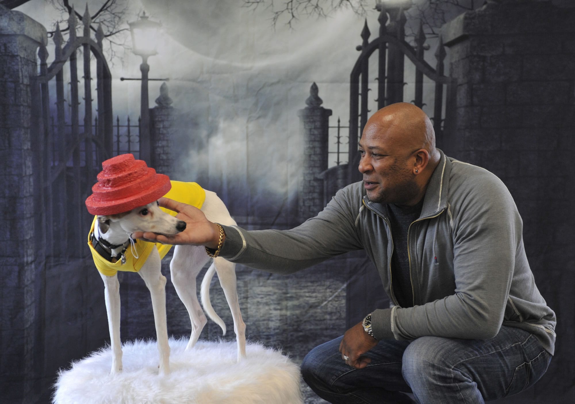 De'Edrick Prowell adjust 'Paisley' for a photo shoot at Dogpaw's happy hour fundraiser at K-9 to Five Doggy Playcare in Vancouver on Sunday.