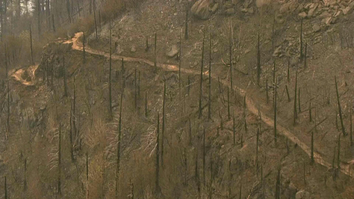 Fire damage to the area surrounding the Angel’s Rest trail in the Columbia River Gorge near Cascade Locks, Ore.