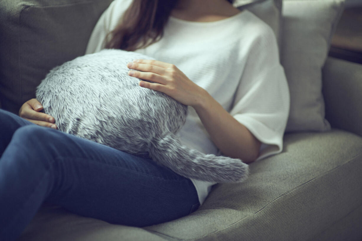 The Qoobo is a pillow with a tail that is designed to move like a cat’s.