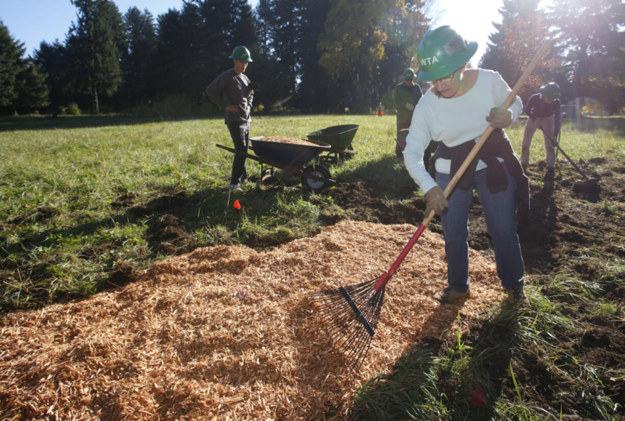 Volunteer Margo Madsen spreads wood chips for an all-season pathway at Raymond E. Shaffer Park.