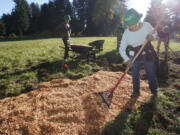 Volunteer Margo Madsen spreads wood chips for an all-season pathway at Raymond E. Shaffer Park.