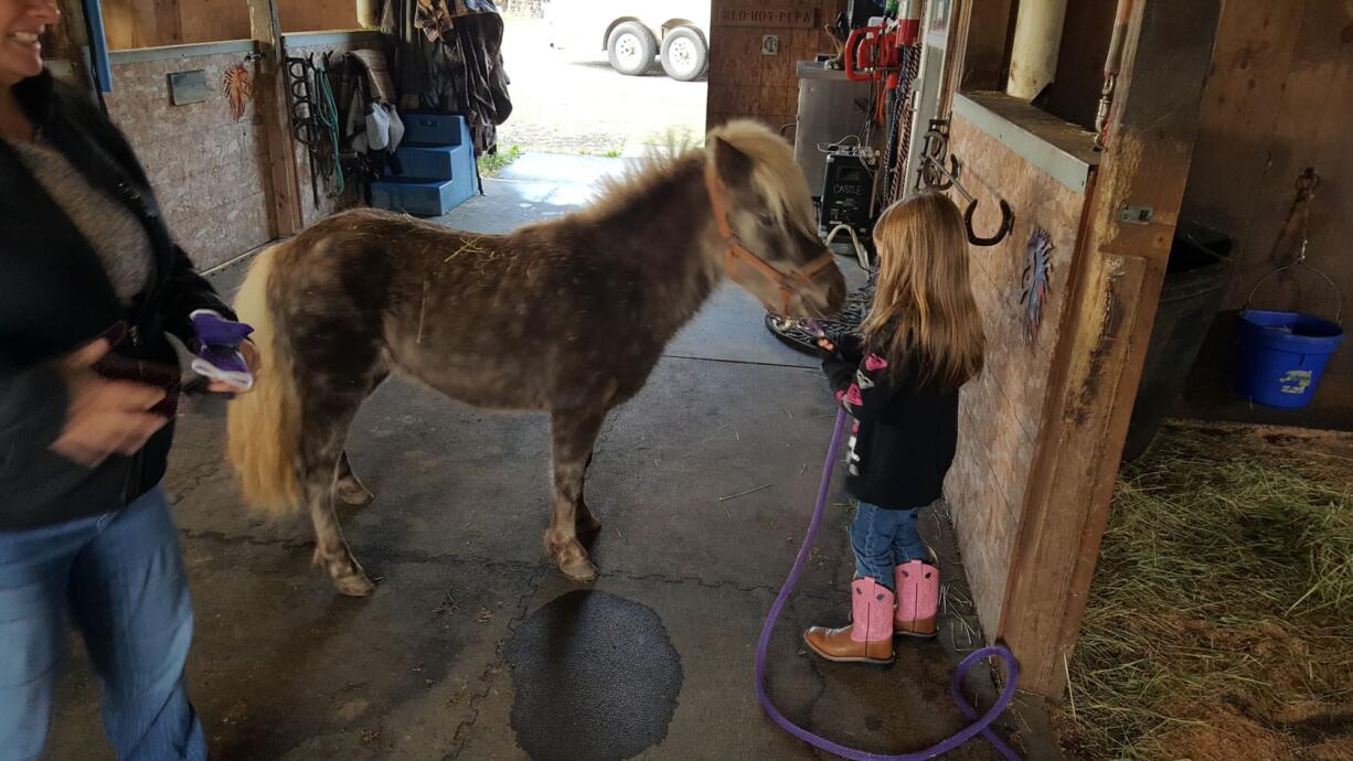 Andalucia Yandell, 6, of Vancouver holds her pony, Trigger, who got loose Monday morning and led law enforcement on a chase near the Vancouver Mall. Clark County Animal Protection and Control captured the pony and found a foster home where he stayed until his owners could be found.