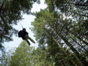 Adam Lapierre, a photographer for Gorge Magazine in Hood River, rides the zip line under a canopy at Skamania Lodge in Stevenson.