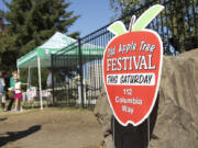 The Old Apple Tree Festival will include hard cider for the first time this year.