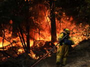 A firefighter carries a water hose to put out a fire during along the Highway 29 Friday near Calistoga, Calif. Firefighters gained some ground on a blaze burning in the heart of California's wine country but face another tough day ahead with low humidity and high winds expected to return.