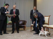 Turkmenistan’s President Gurbanguly Berdymukhamedov, left, shows documents of presented by his puppy to Russian President Vladimir Putin, second right, as Foreign Minister Sergey Lavrov, second right, Presidential foreign affairs adviser Yuri Ushakov, right, play with the puppy during their meeting in the Bocharov Ruchei residence in the Black Sea resort of Sochi, Russia, Wednesday. The presidents met at the sidelines of a summit of leaders of ex-Soviet nations in Sochi.