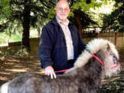 Bill Burrus, field officer for Clark County Animal Protection and Control, holds a pony found Monday at the Vancouver Village shopping area near the Vancouver Mall. The pony was reported on the loose about 11 a.m. but was quickly contained by Vancouver police officers and troopers with the Washington State Patrol.