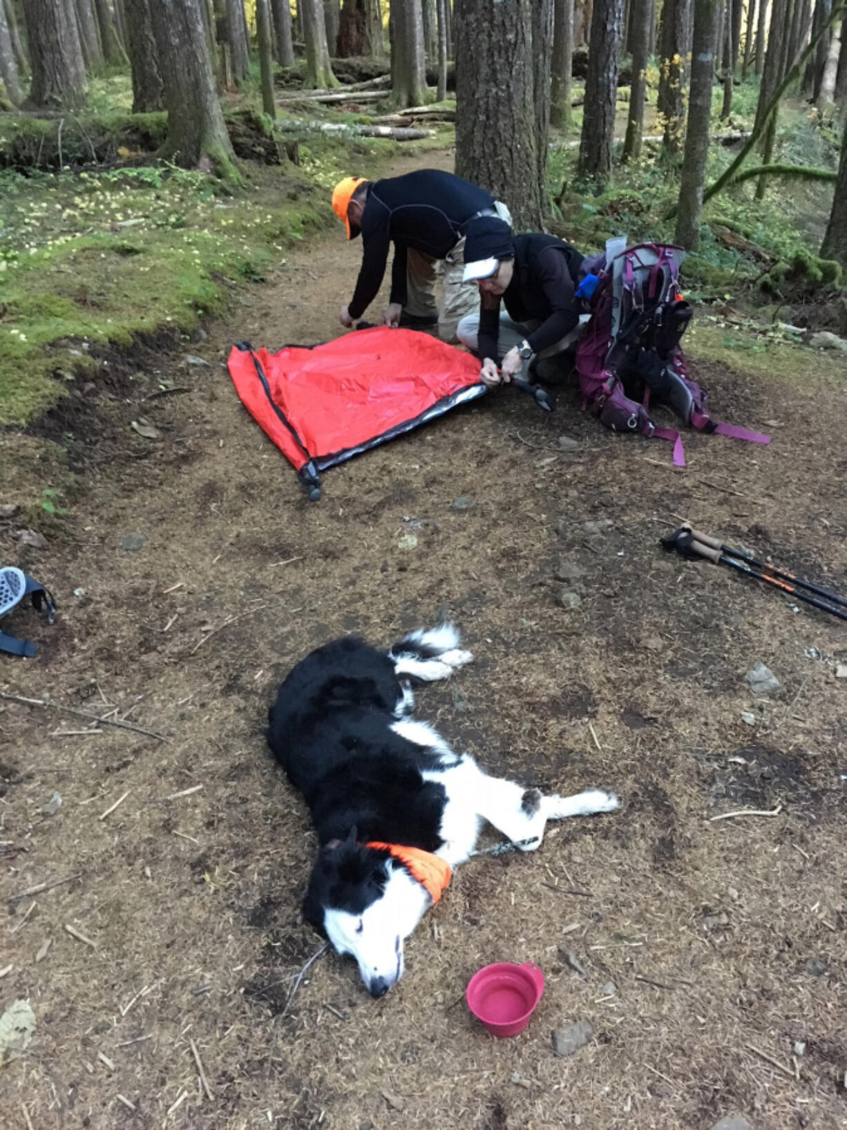 Laura Stockton and Rick Blevins helped Andy Healy create a litter to evacuate her 35-pound border collie, Fen, after she lost the ability to use her legs while hiking Oct. 29. Fen became unresponsive after eating a discarded marijuana edible in a vacant campsite.