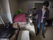 Volunteer Joan Ellis shares a moment with Venice, 2, center, who is available for adoption, at the West Columbia Gorge Humane Society cat shelter in Washougal late Tuesday morning. Also pictured relaxing in the cat shelter is Torr, 3, left, who is hoping for a forever family as well.