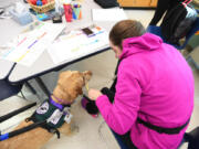 Katie Brigger’s service dog, Zola, picks up a pencil on November 13, 2017, at the HUB-Robeson Center in State College, Pa.