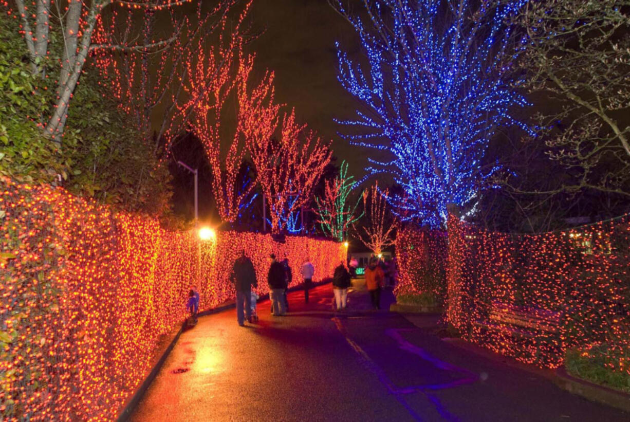 The steam train emerges from a tunnel during ZooLights at the Oregon Zoo. ZooLights includes millions of LED lights, and will be open through the New Year.