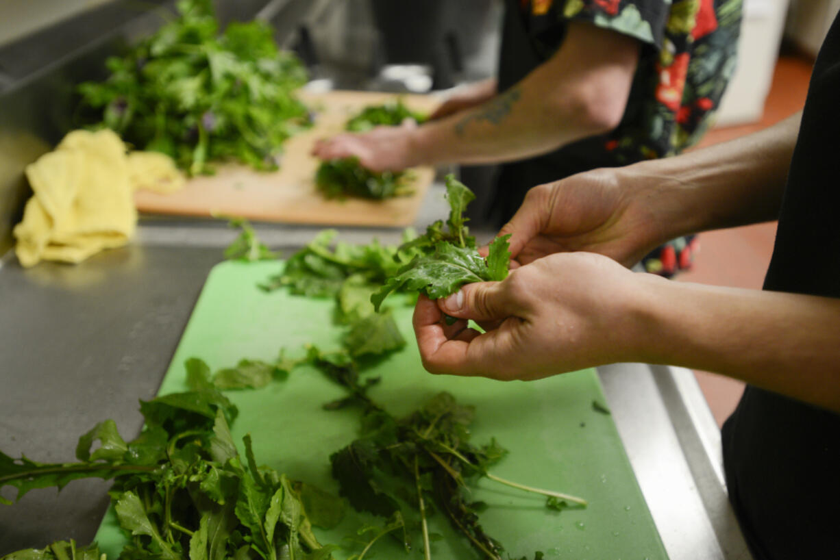 Volunteer Michael Phillips prepares arugula last year in the kitchen at WareHouse ‘23 in Vancouver, in preparation for Taste Renaissance 2016.