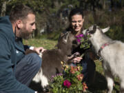 Tyler Alexander and his wife Ginny Garcia-Alexander feed flowers to Om Nom and Nibbles outside their home in Portland.