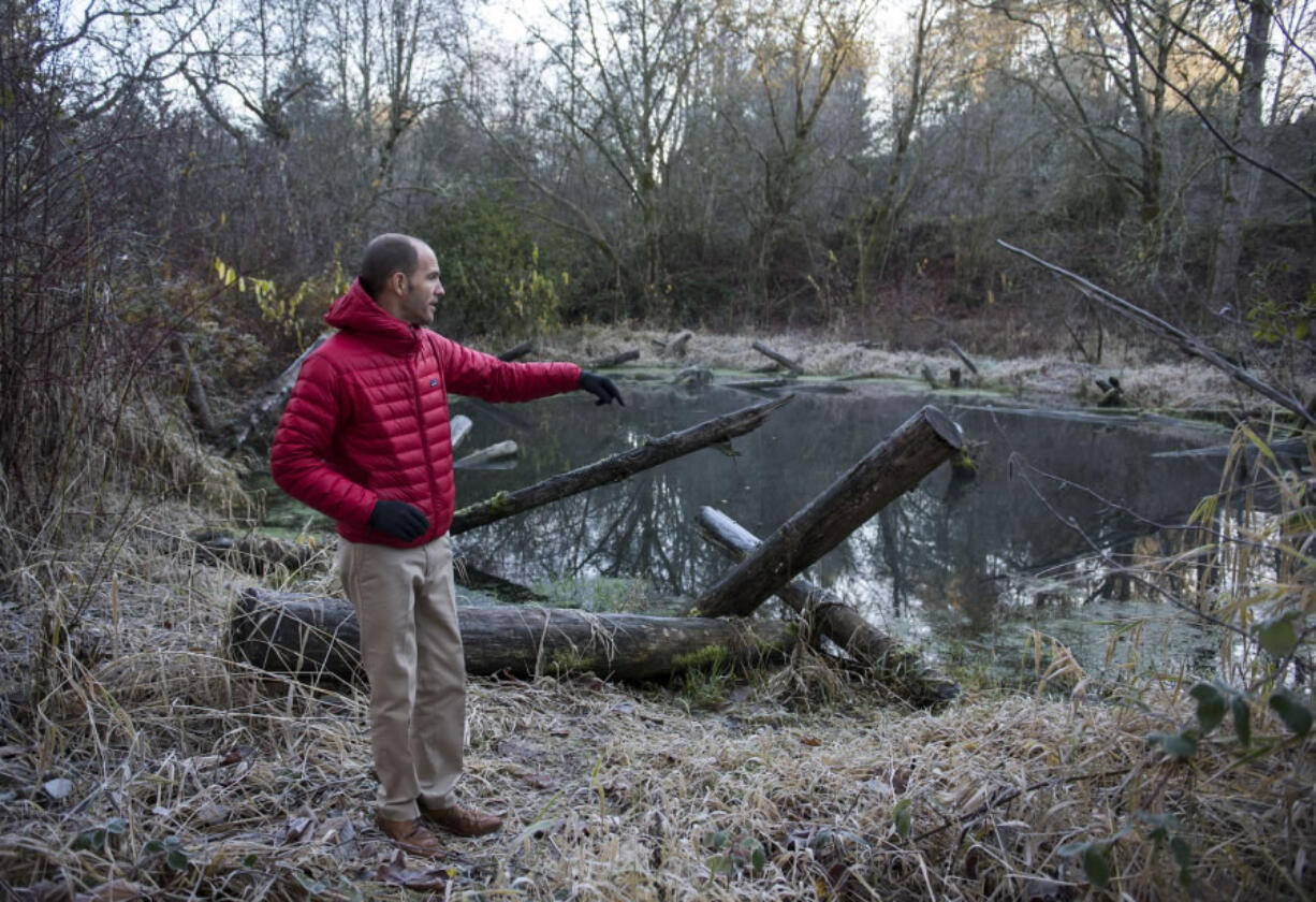 Salmon Creek Watershed Council board chair Maury Harris describes the benefits of the pond at Pleasant Valley Park on Wednesday morning, Dec. 6, 2017. The rearing pond provides a side channel habitat for juvenile salmon as well as a thriving habitat for the insects that the salmon will feed off of. The Lower Columbia Fish Enhancement Group built the habitat in 2011 and the Salmon Creek Watershed Council has taken over managing the habitat to ensure it thrives and continues to assist the native wildlife.