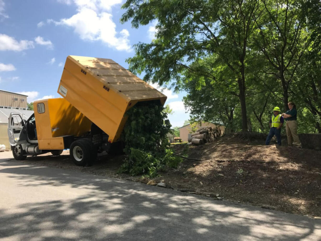 A delivery of browse is unloaded at the St. Louis Zoo. St.