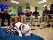 Knox, a pit bull from the SPCA, listens as fifth-graders at Westport Academy Elementary/Middle School in Baltimore practice their skills by reading to him.