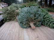 A trailer full of discarded Christmas trees are picked up by Boy Scouts for recycling  in January.