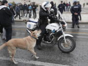 FILE - In this Feb. 20, 2012, file photo, a stray dog, called by protesters Loukanikos (Sausage), barks to a motorcyclist policeman as high school students block the avenue outside the Greek Parliament during an anti-austerity protest in Athens. A film by Australia’s Mary Zournazi, “Dogs of Democracy,” highlights the life and times Loukanikos. He became a symbol of the anti-austerity protests in Greece after showing up to stand alongside the humans on the front lines.