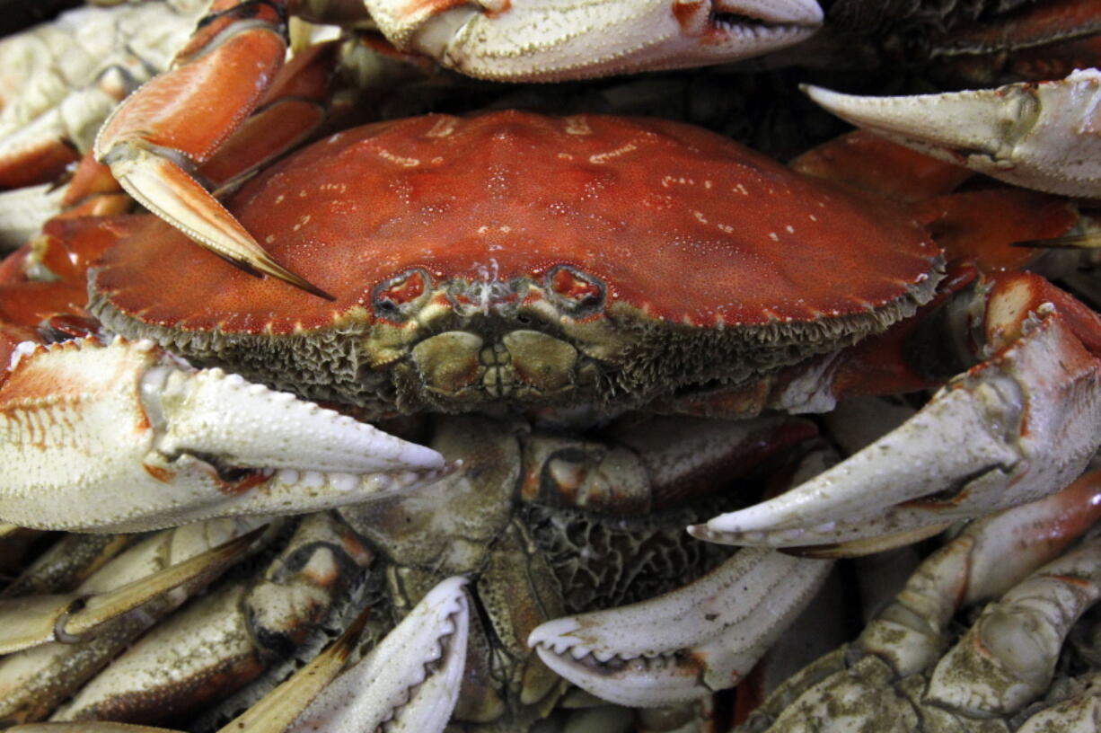 Dungeness crab wait for packing and shipping at Hallmark Fisheries in Charleston, Ore.