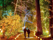 The Grotto’s Christmas Festival of Lights features holiday light displays, outdoor caroling, indoor choral concerts and more through Dec. 30 at The Grotto in Portland.