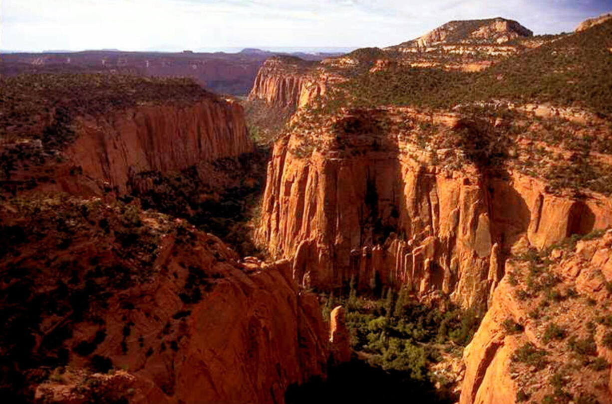 The Upper Gulch section of the Escalante Canyons within Utah’s Grand Staircase-Escalante National Monument is shown. Outdoor clothing giant Patagonia and other retailers have jumped into a legal and political battle over President Donald Trump’s plan to shrink two sprawling Utah national monuments. Douglas C.