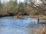 An angler casts for steelhead in Salmon Creek. The fishing has been good enough to draw plenty of steelheaders to the creek, but high water is slowing the bite. Once the water subsides, fishing will pick up again.