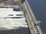 Water flows through The Dalles Dam on the Columbia River, in The Dalles, Ore. A federal judge recently ruled that The Army Corps of Engineers must provide additional spill at eight federal dams along the Columbia and Snake Rivers this spring. The spill will aid out-migrating juvenile spring Chinook headed to the ocean. An appeal is pending.