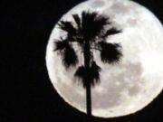 Huge earthquakes are not significantly influenced by the moon, according to a U.S. Geological Survey study.