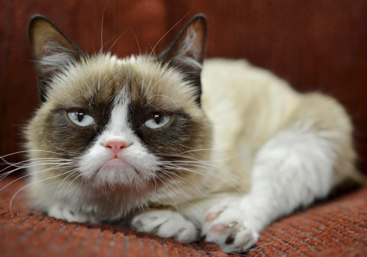 Grump Cat’s fame led to endorsement deals, including one with Nestle Purina PetCare, for owner Tabatha Bundesen. The feline was also at the center of an intellectual property dispute between Grumpy Cat Limited and Grenade beverage company.