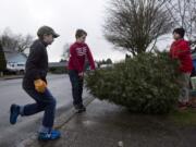 Cub Scout Troop 545 members, from left, Alex Dubal, Ethan Springer and Kenny Brownsilva, collect a Christmas tree in the Orchards neighborhood on Saturday, when the Scouts held their annual tree recycling day.