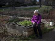 Wanda Wilson of Vancouver sits on a raised, wheelchair-accessible garden bed at the Minnie Stromgren Memorial Garden at Vancouver Heights United Methodist Church. Wilson spearheaded the launch of the community garden project in 2009, and the space now has 34 plots. If gardeners produce more food then they can use, they donate extra produce to Share or to the families at the church’s child care program.