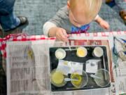 Corbin Buls, 2, uses a dropper to make volcanoes with citric juice and baking soda at the Water Resource Education Center on Saturday.