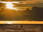 FILE - In this Wednesday, Dec. 27, 2017 file photo, a man walks his dog across the snow-covered beach while a cargo ship sits in the steaming fog of Lake Ontario in Toronto. According to a report released on Thursday, Jan. 18, 2018, U.S. and British scientists calculate that 2017 wasn’t the hottest year on record, but close and unusually warm for no El Nino cooking the books.