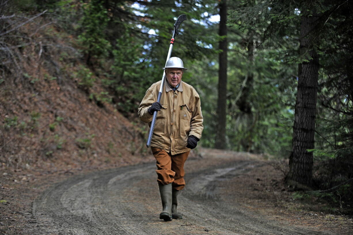 In this Wednesday, Jan. 17, 2018 photo, Jud Parsons walks through a section of his family’s forestland near Mount Ashland, Ore.