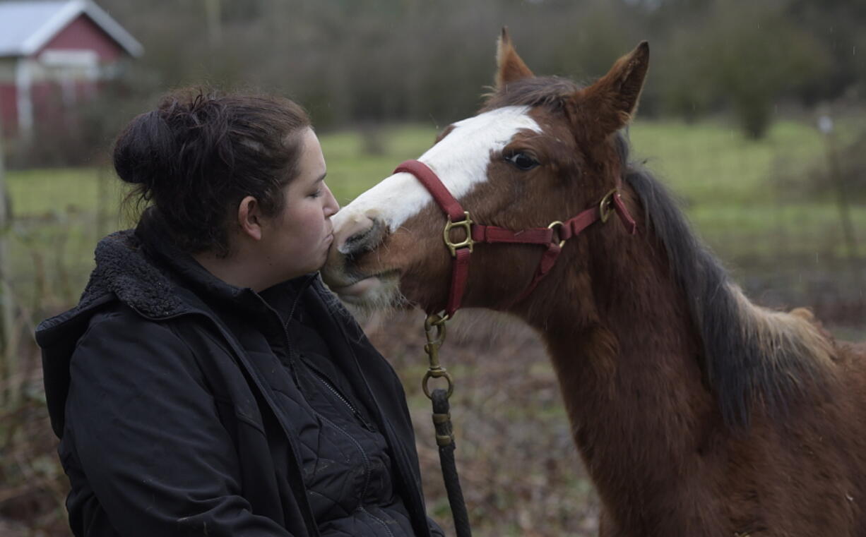 Tami Fawcett of Albany plays with a young mustang from Nevada at a ranch near Scio, Ore.