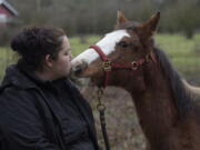 Tami Fawcett of Albany plays with a young mustang from Nevada at a ranch near Scio, Ore.